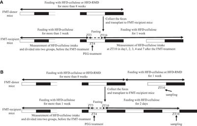 Feeding with resistant maltodextrin suppresses excessive calorie intake in a high-fat diet, mediated by changes in mouse gut microbiota composition, appetite-related gut hormone secretion, and neuropeptide transcriptional levels